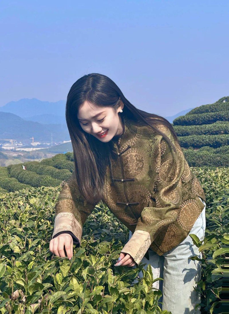福泉茶都：品茗之国的魅力所在